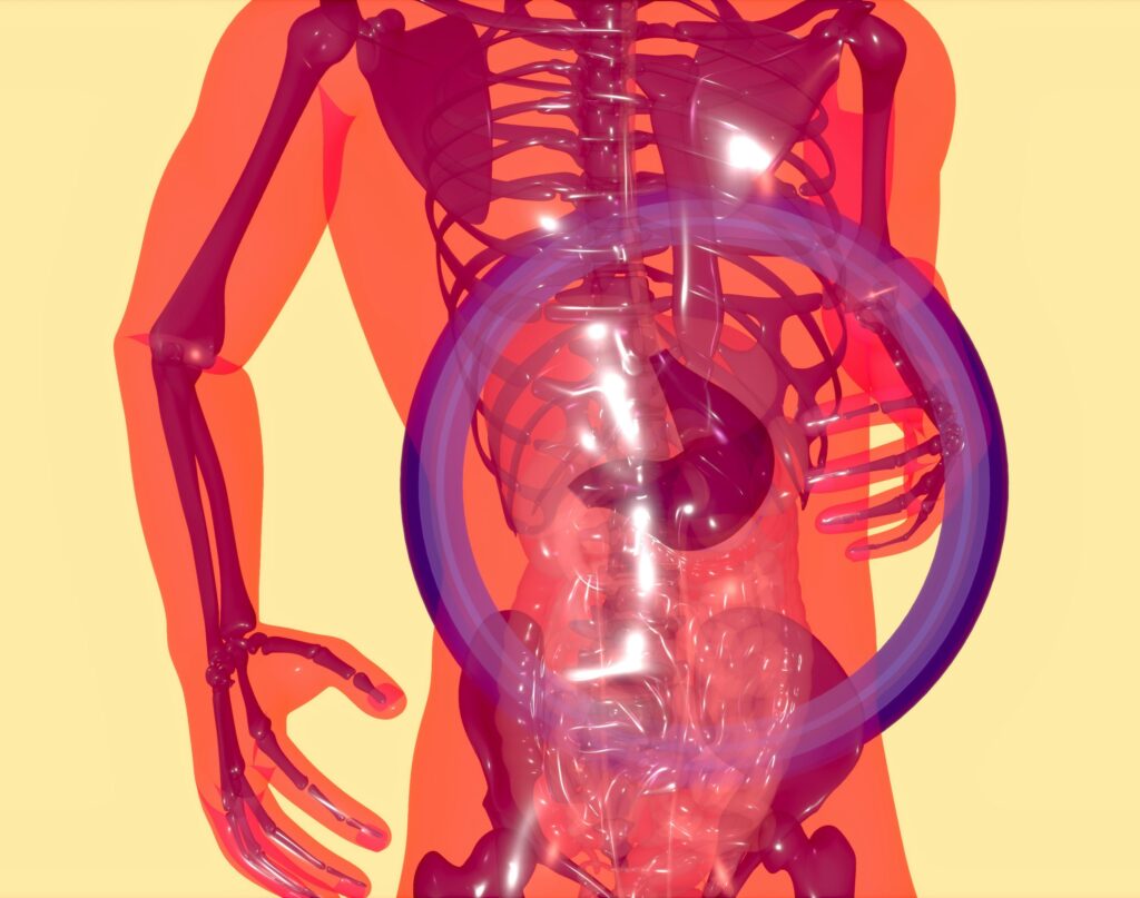 stress and digestion